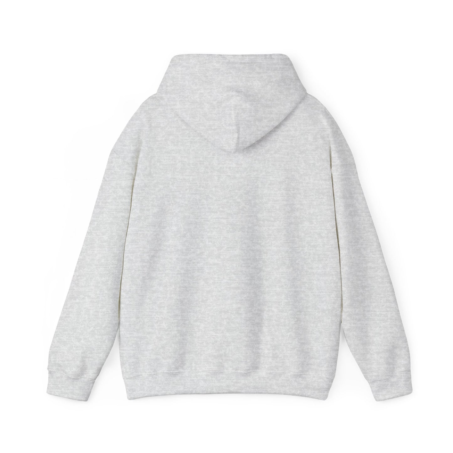 CLASSIC ASH GREY HOODIE