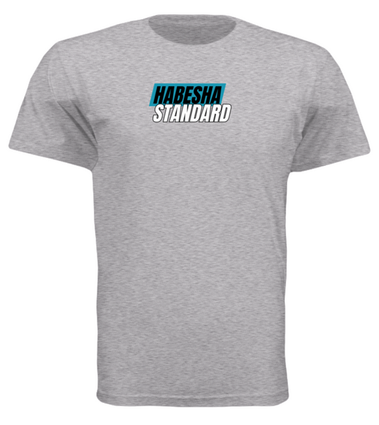 SPORTS GREY HABESHA STANDARD T-SHIRT